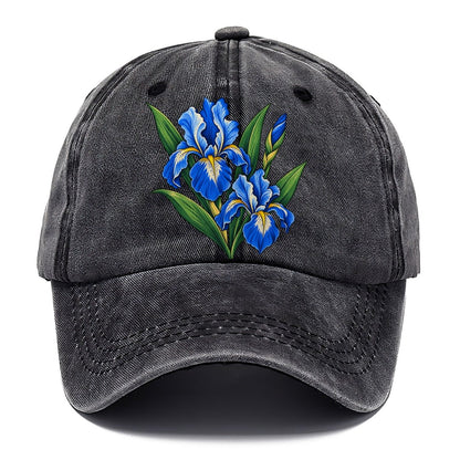 Quebec Blue Flag Iris Canada Cultural Icons Classic Cap – Graphite