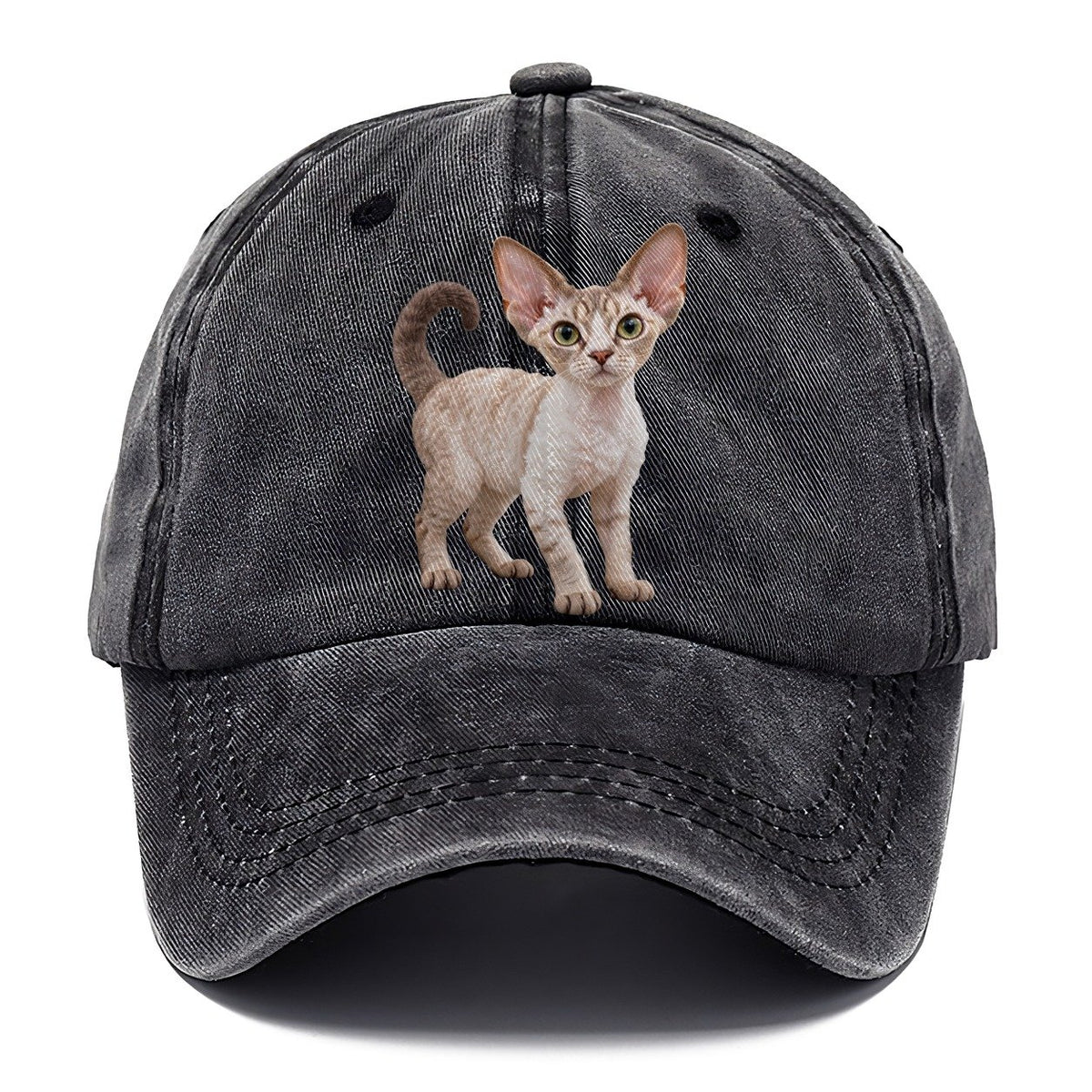 Devon Rex Standing Three Quarter Realistic Cat Portrait Classic Cap – Graphite
