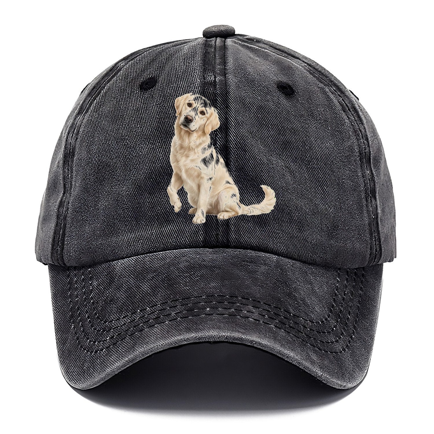 Seated Golden Classic Cap – Graphite