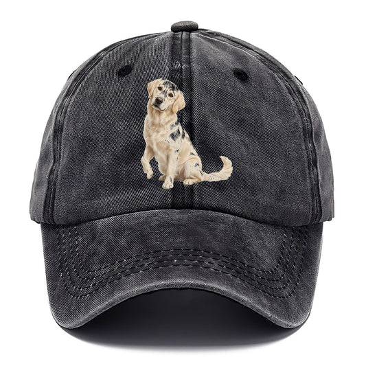 Seated Golden Classic Cap – Graphite