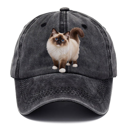 Birman Standing Three Quarter Realistic Cat Portrait Classic Cap – Graphite