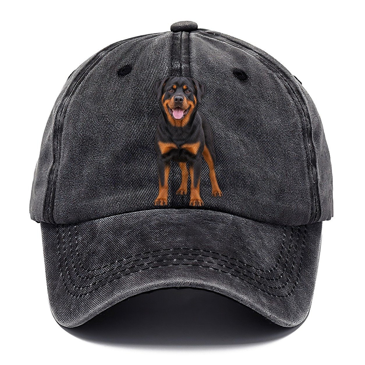 Rottweiler Standing Top Breeds Classic Cap – Graphite