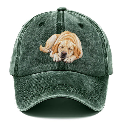 Abstract Labrador Play Bow Classic Cap – Forest Mist