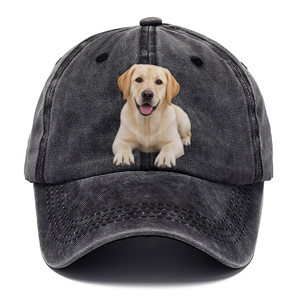 Labrador Retriever Lying Down Top Breeds Classic Cap – Graphite