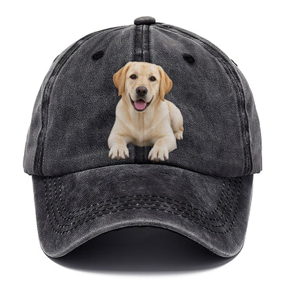 Labrador Retriever Lying Down Top Breeds Classic Cap – Graphite