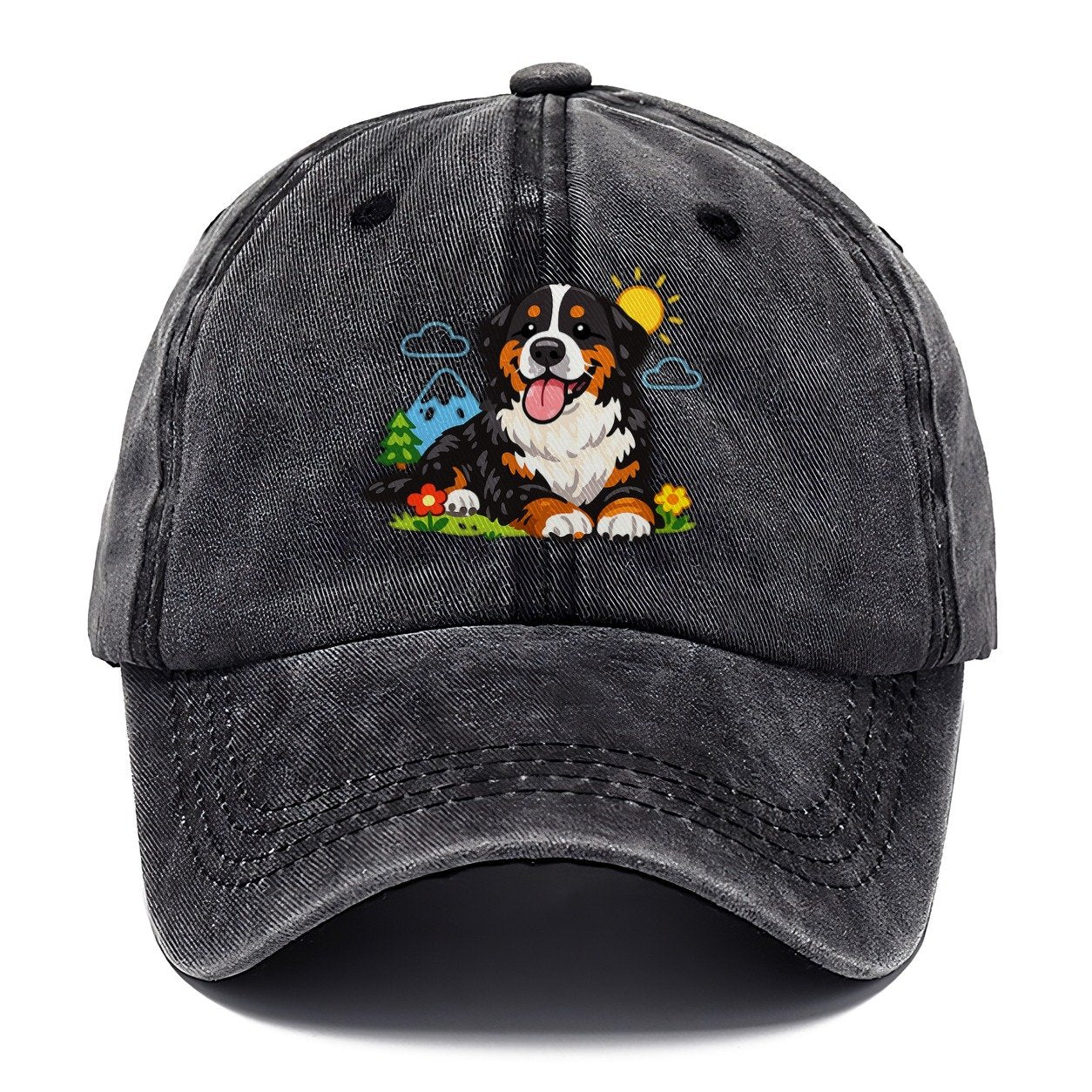 Bernese Mountain Dog Classic Cap – Graphite