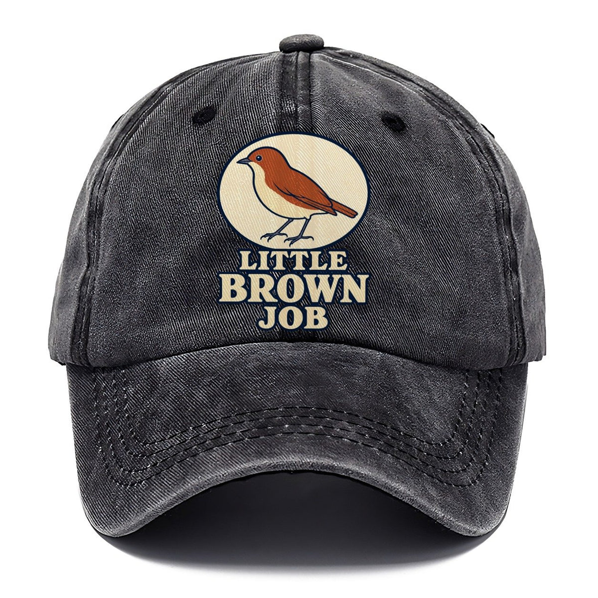 Little Brown Job Birdwatching Classic Cap – Graphite