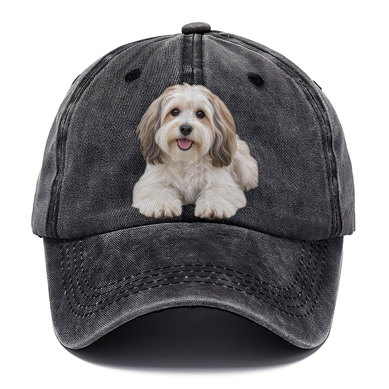 Havanese Lying Down Top Breeds Classic Cap – Graphite