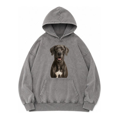Great Dane Gentle Giant Noble Heart Vintage Washed Hoodie – Grey