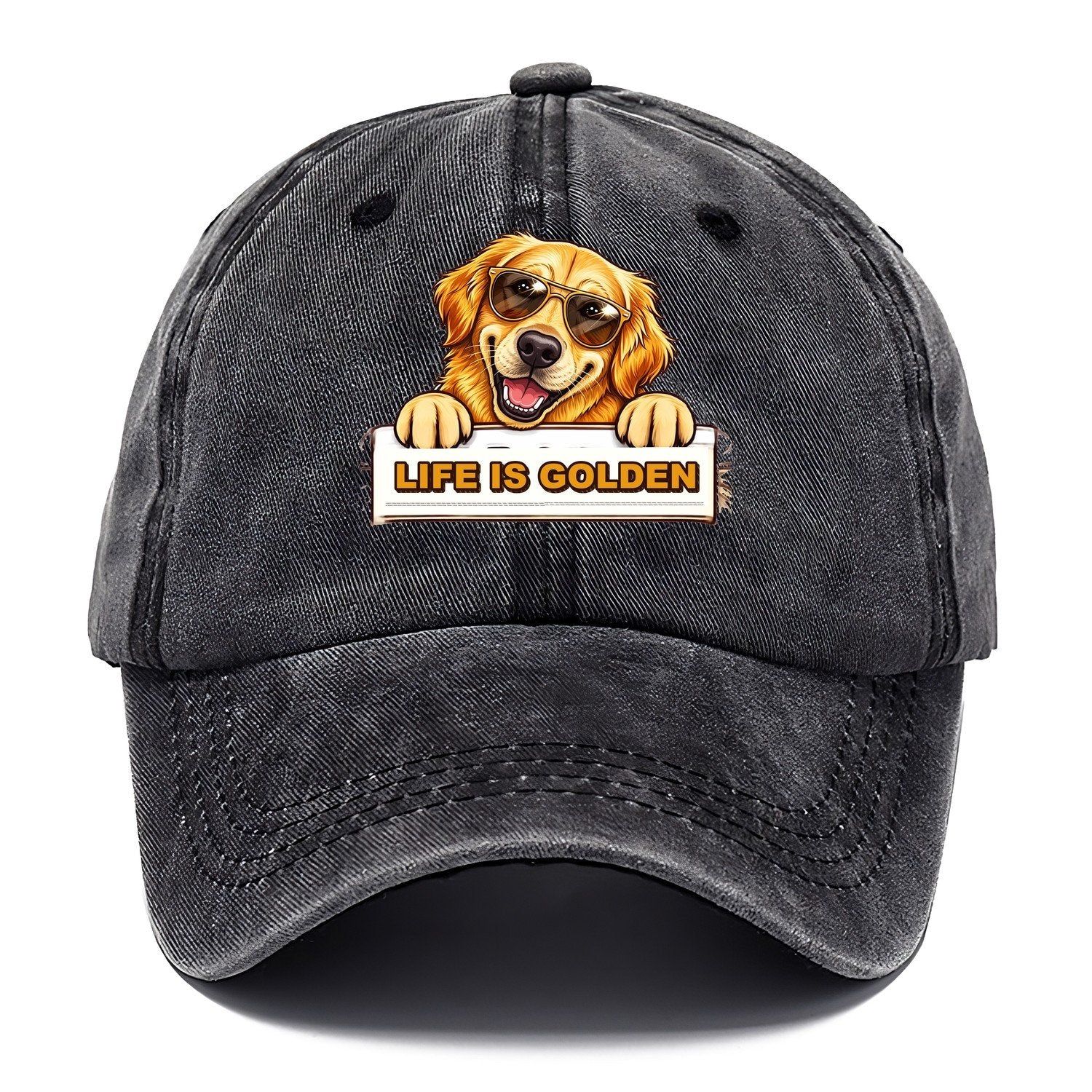 Life Is Golden Retriever Classic Cap – Graphite