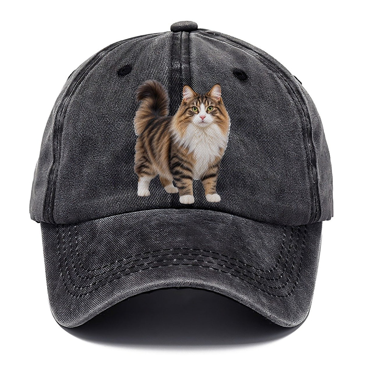 Norwegian Forest Cat Standing Three Quarter Realistic Cat Portrait Classic Cap – Graphite