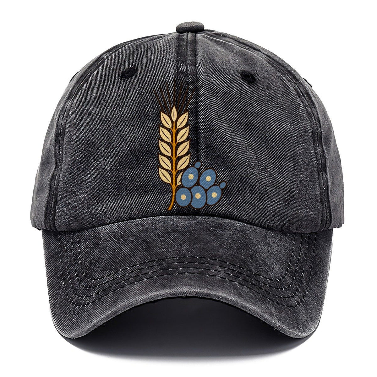 Barley And Yeast Study Homebrewing Classic Cap – Graphite