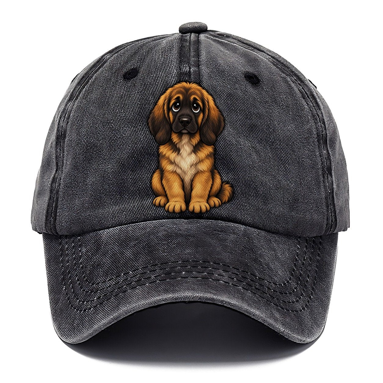 Leonberger Sitting Sweetheart Classic Cap – Graphite
