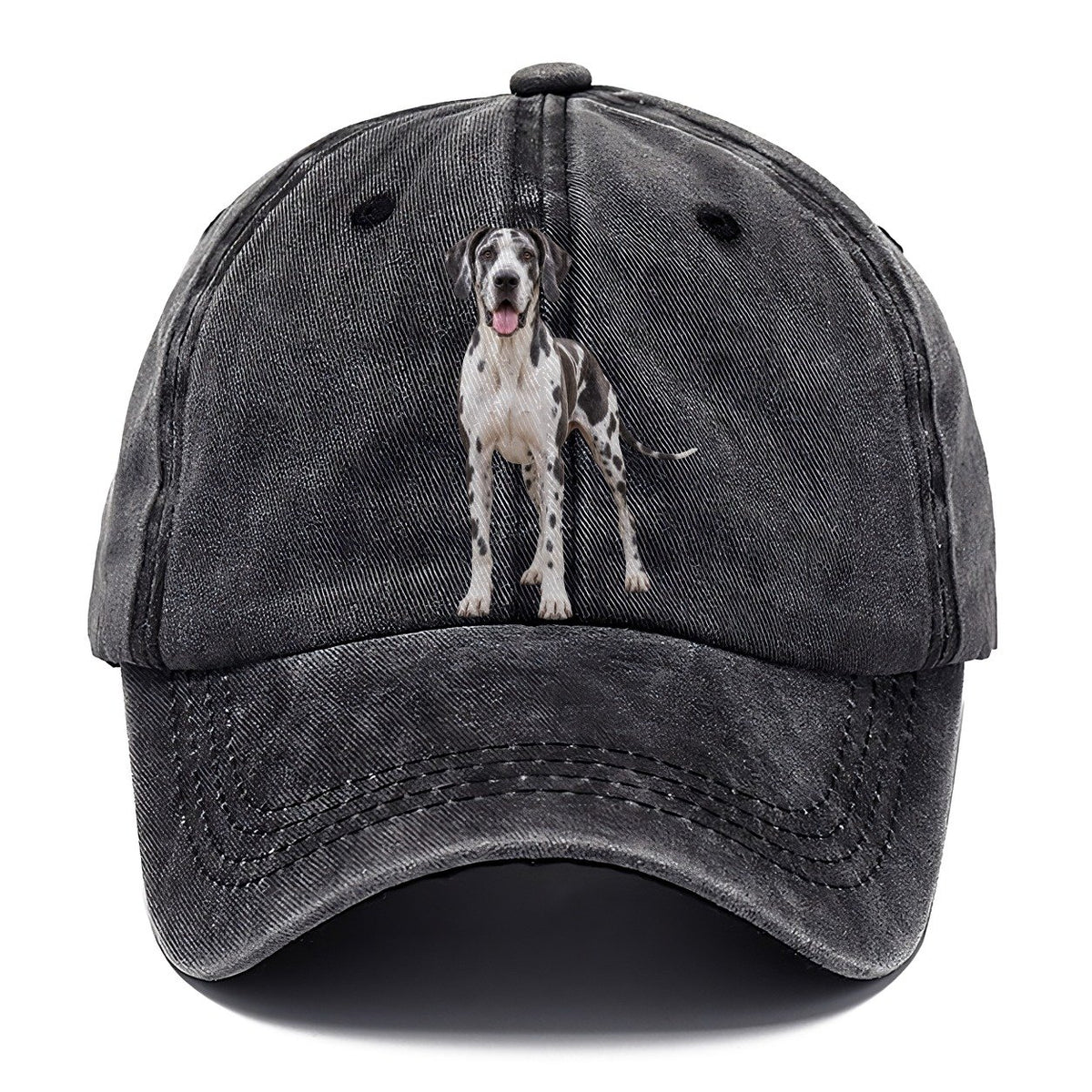 Great Dane Standing Top Breeds Classic Cap – Graphite