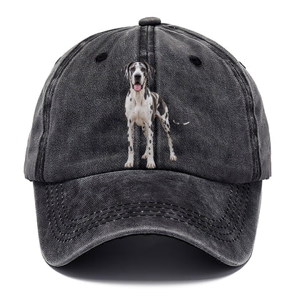Great Dane Standing Top Breeds Classic Cap – Graphite