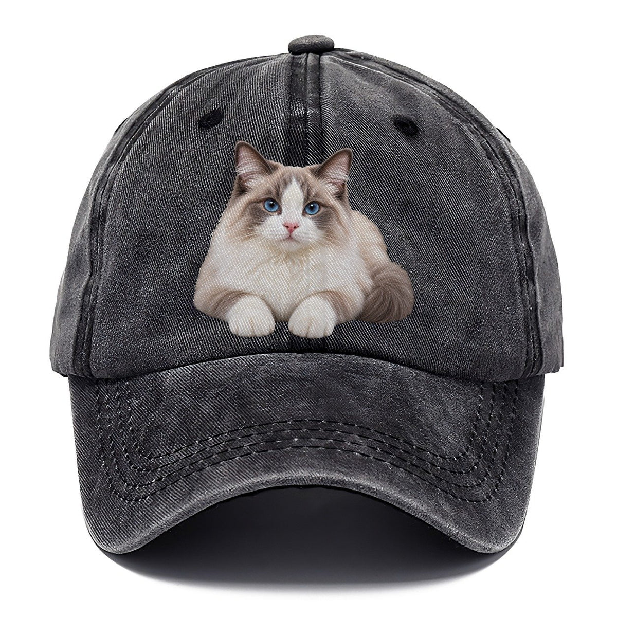 Ragdoll Reclining Paws Forward Realistic Cat Portrait Classic Cap – Graphite
