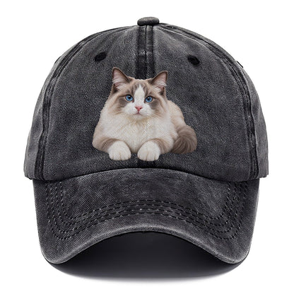 Ragdoll Reclining Paws Forward Realistic Cat Portrait Classic Cap – Graphite