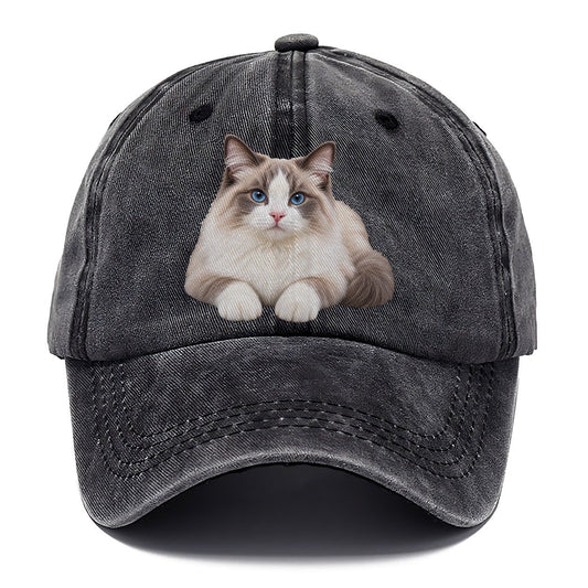 Ragdoll Reclining Paws Forward Realistic Cat Portrait Classic Cap – Graphite