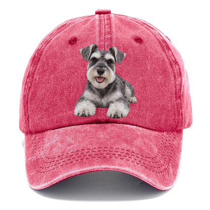 Miniature Schnauzer Lying Down Top Breeds Classic Cap – Pomegranate Blush