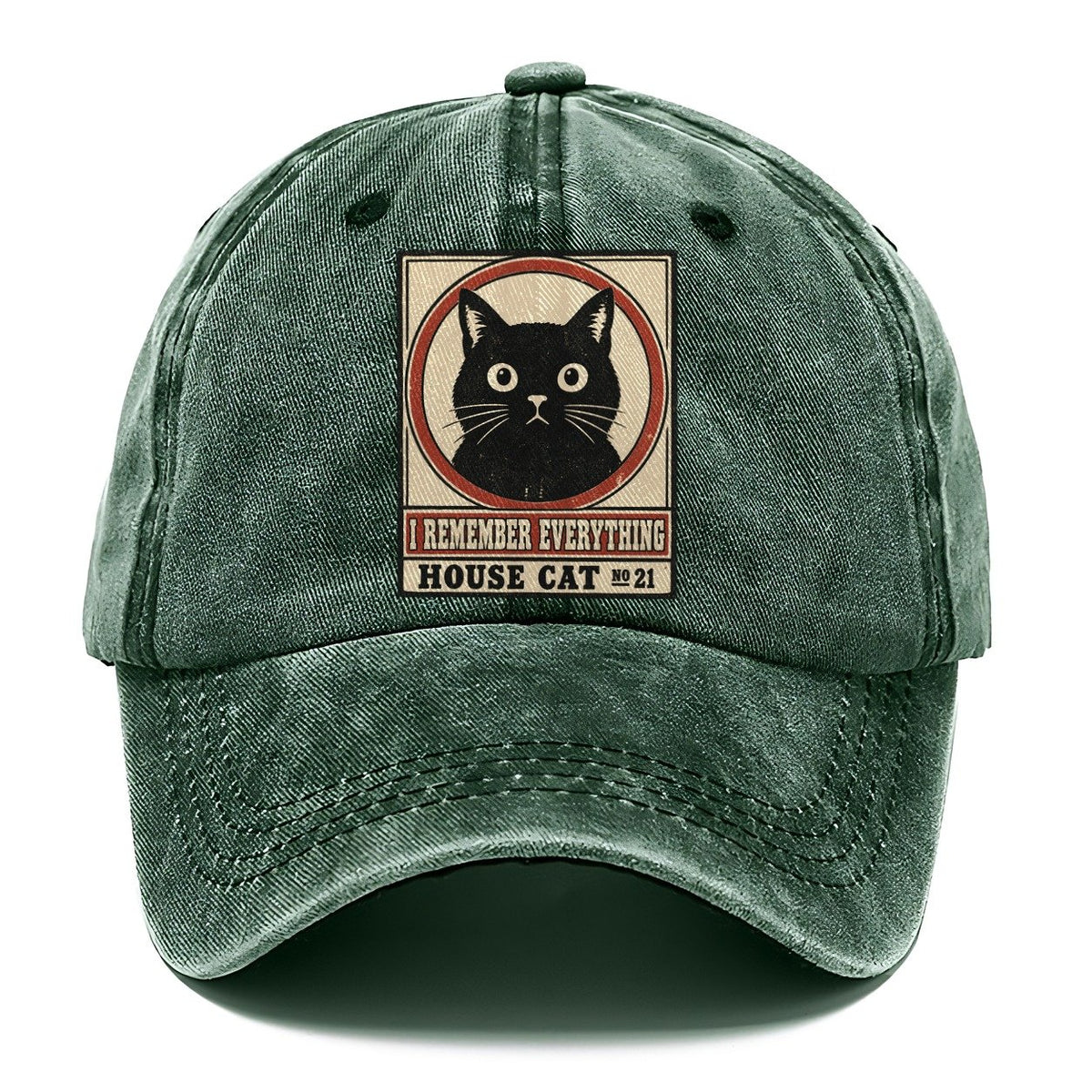 I Remember Everything Neko Says No Classic Cap – Forest Mist