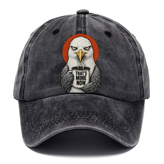 Seagull Mug Truths Classic Cap – Graphite