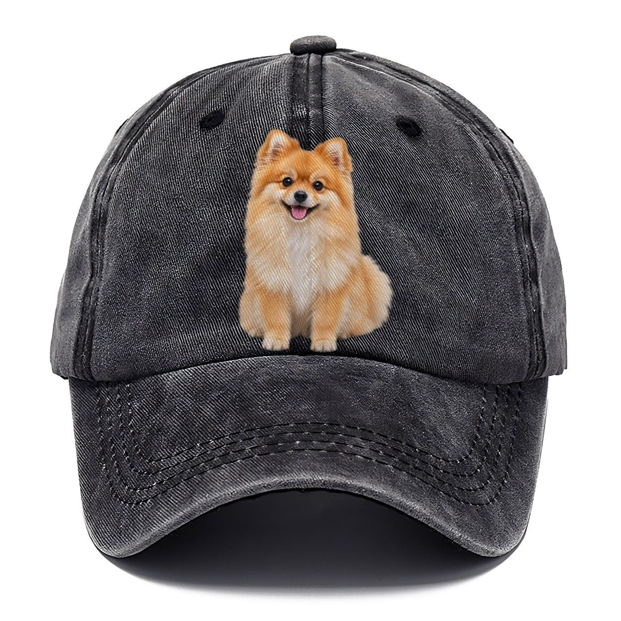 Pomeranian Sitting Top Breeds Classic Cap – Graphite