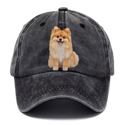 Pomeranian Sitting Top Breeds Classic Cap – Graphite