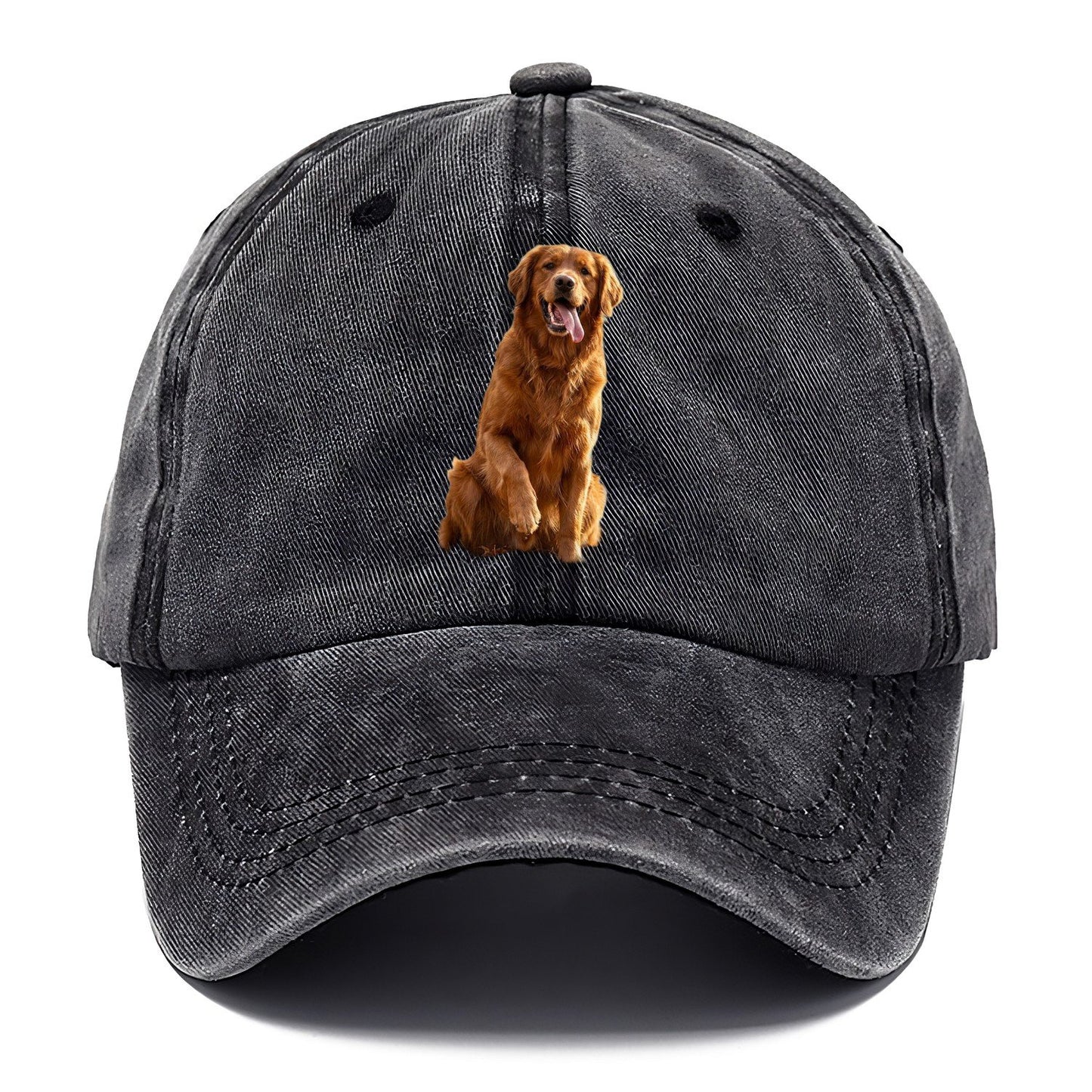 Autumn Retriever Classic Cap – Graphite