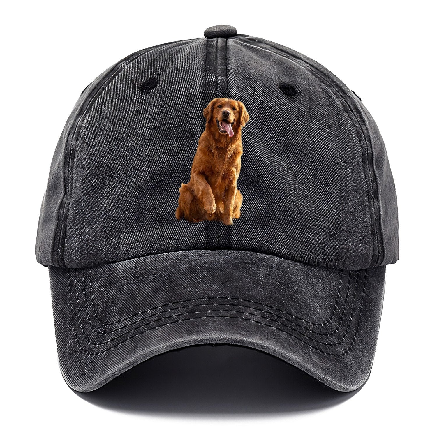 Autumn Retriever Classic Cap – Graphite