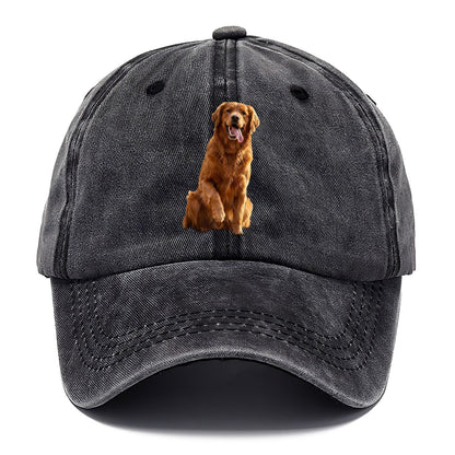 Autumn Retriever Classic Cap – Graphite