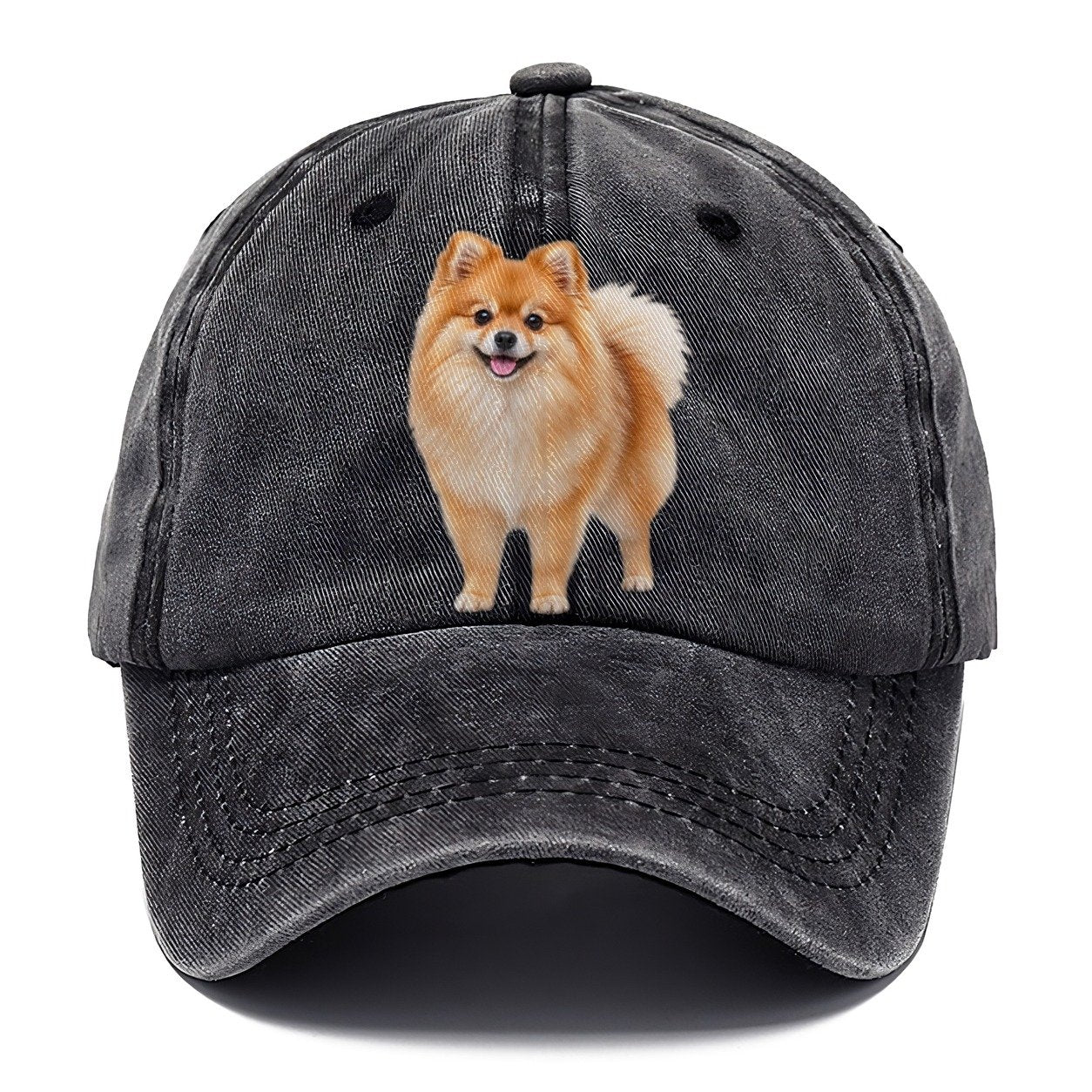 Pomeranian Standing Top Breeds Classic Cap – Graphite