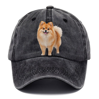 Pomeranian Standing Top Breeds Classic Cap – Graphite