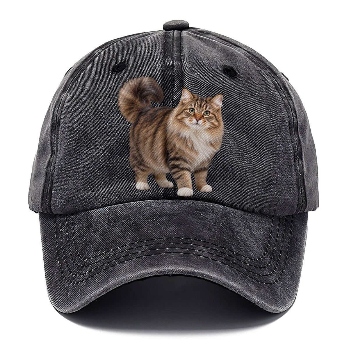 Siberian Standing Three Quarter Realistic Cat Portrait Classic Cap – Graphite