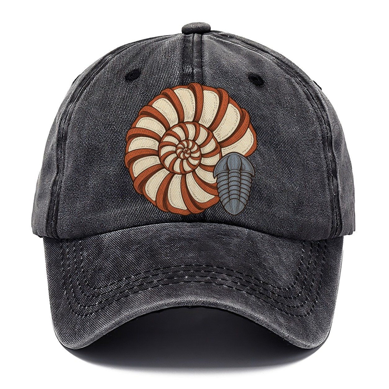 Ammonite Specimen Plate Rocks And Minerals Classic Cap – Graphite