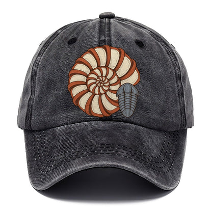Ammonite Specimen Plate Rocks And Minerals Classic Cap – Graphite