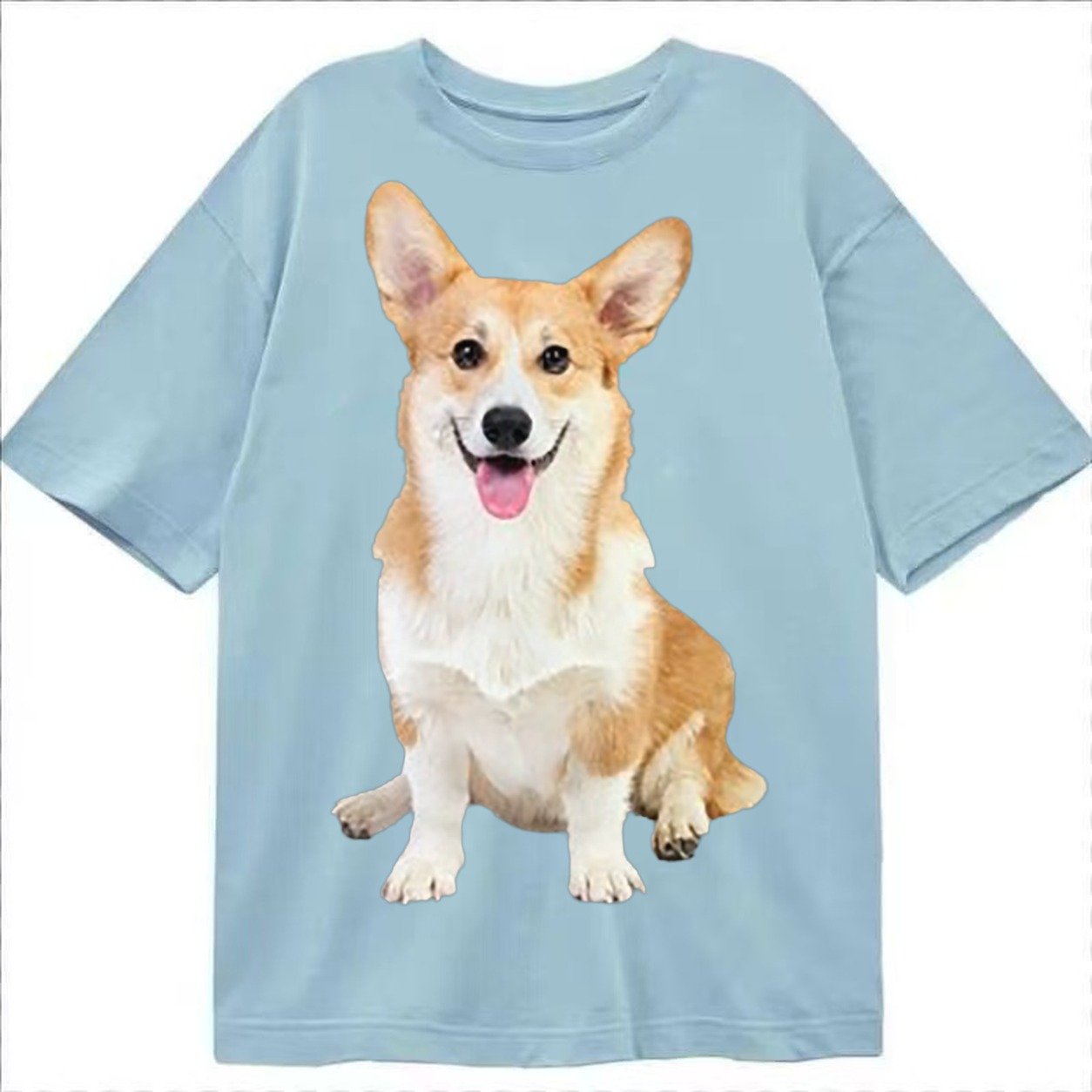 Welsh Corgi Owner Owner Classic T-shirt – Light Blue