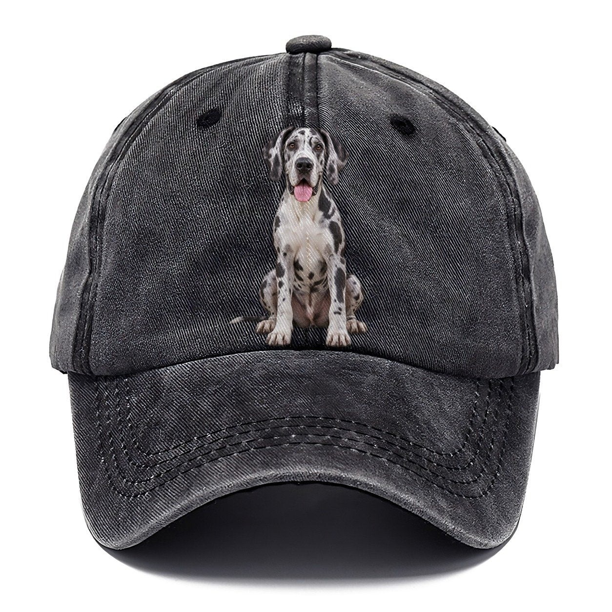 Great Dane Sitting Top Breeds Classic Cap – Graphite