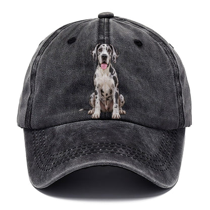 Great Dane Sitting Top Breeds Classic Cap – Graphite