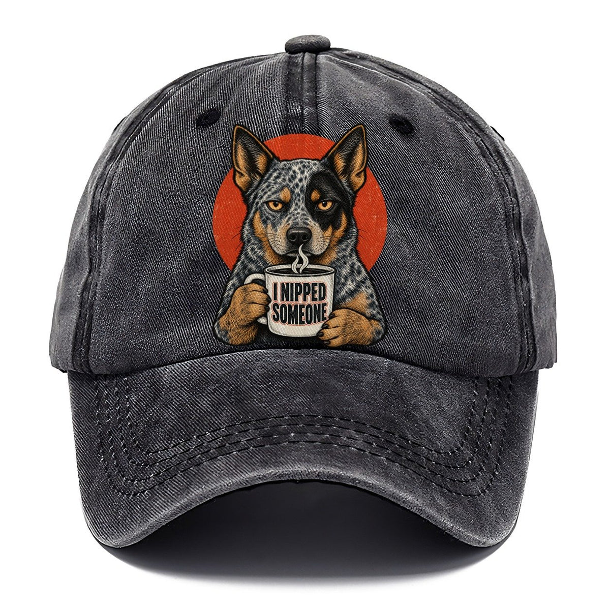 Australian Cattle Dog Mug Truths Classic Cap – Graphite