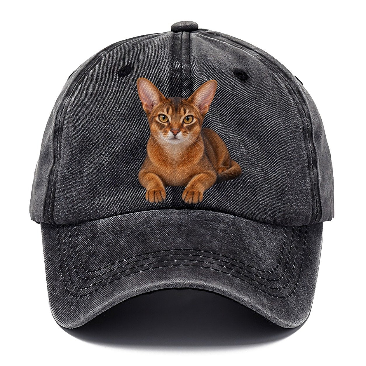 Abyssinian Reclining Paws Forward Realistic Cat Portrait Classic Cap – Graphite