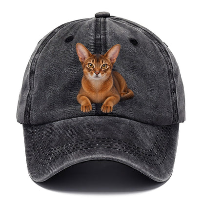 Abyssinian Reclining Paws Forward Realistic Cat Portrait Classic Cap – Graphite