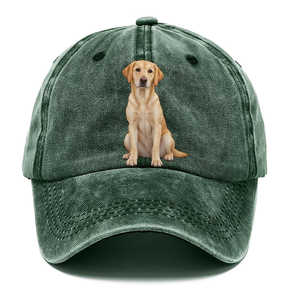 American Yellow Labrador Classic Cap – Forest Mist
