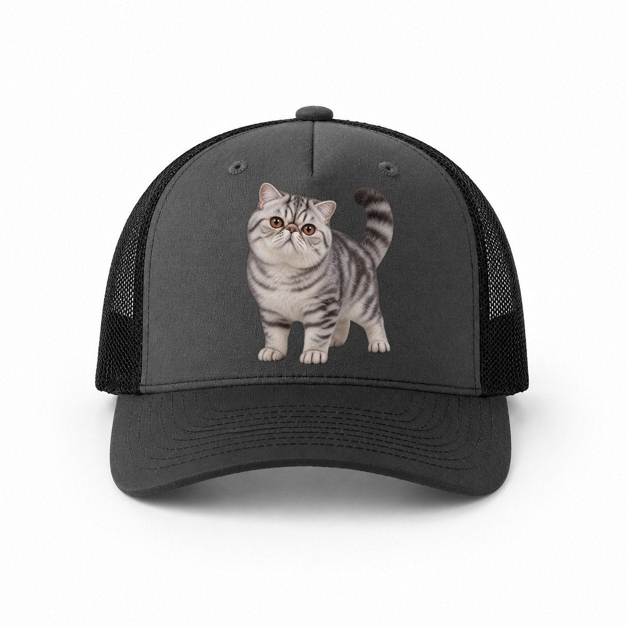 Dark Grey-Black — front view