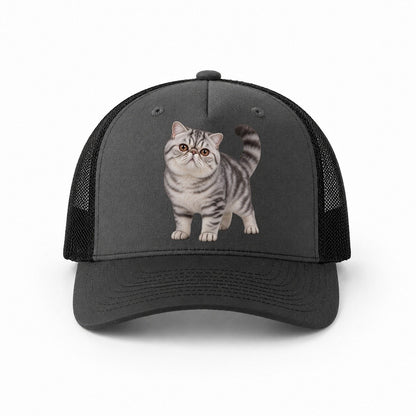 Dark Grey-Black — front view