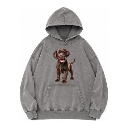 Chocolate Labrador Vintage Washed Hoodie – Grey