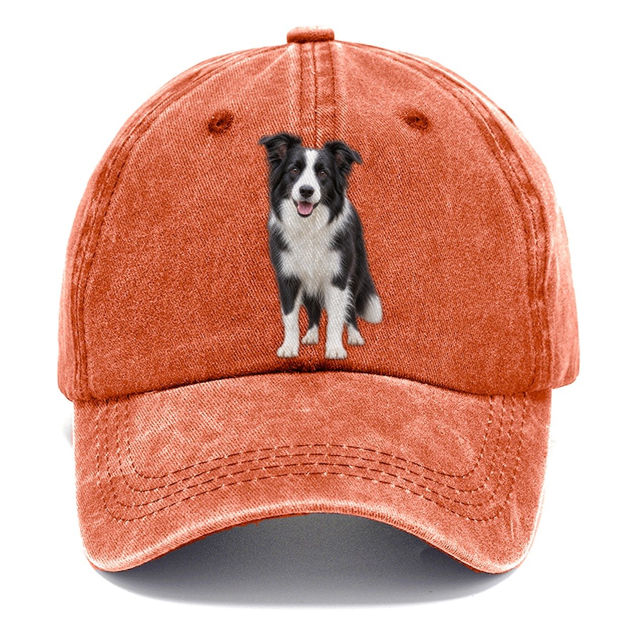 Border Collie Standing Top Breeds Classic Cap – Terracotta Clay