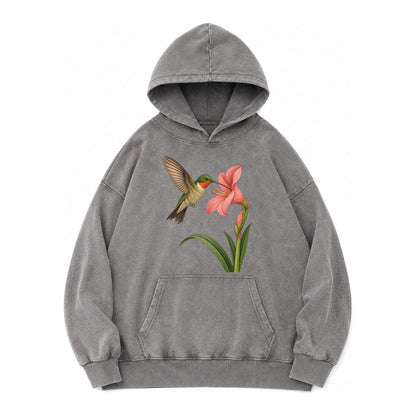 Hummingbird Haven Vintage Washed Hoodie – Grey