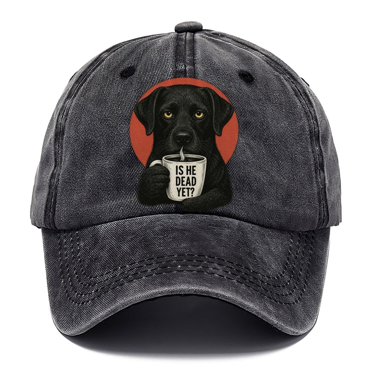 Is He Dead Yet Dog Classic Cap – Graphite