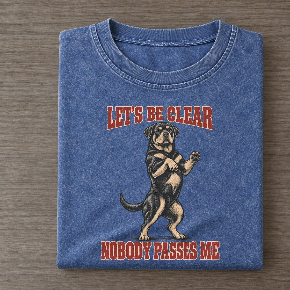 Rottweiler Dog Declarations Dog Declarations Tees Vintage Vintage T-shirt – Washed Blue