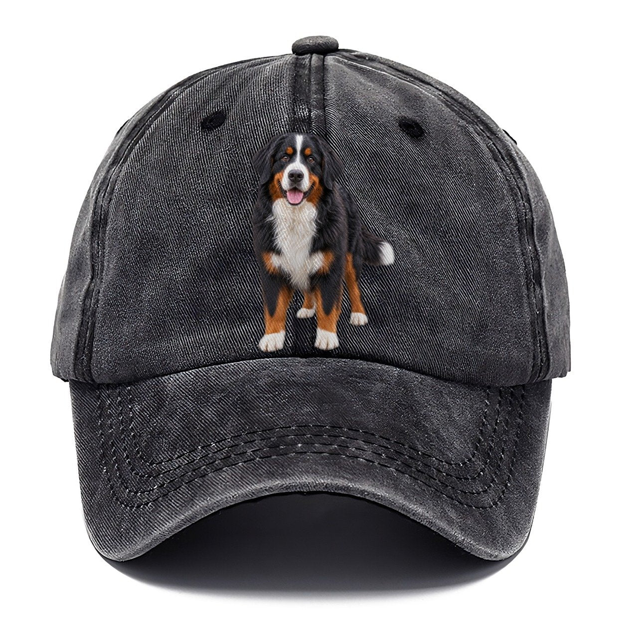 Bernese Mountain Dog Standing Top Breeds Classic Cap – Graphite